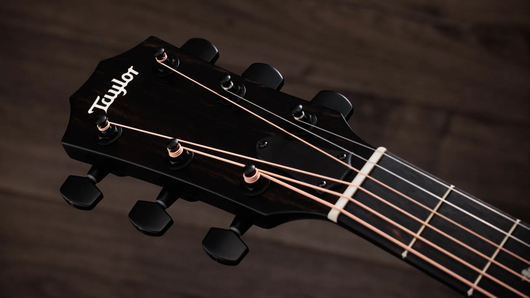 214ce Plus Special Edition, Trans Blue Sapele Acoustic-Electric